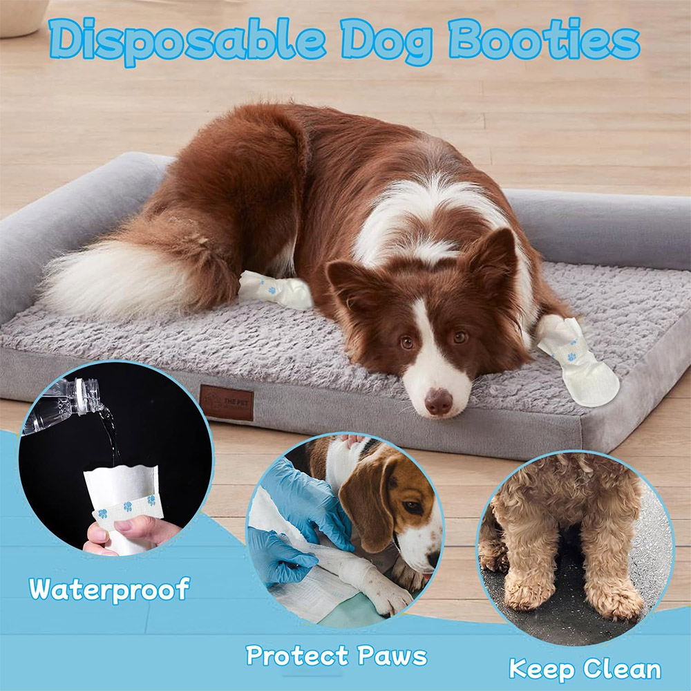 20/40PCS Pet Disposable Paw Sh - Dust Shoe Cnc ulasan dan harga